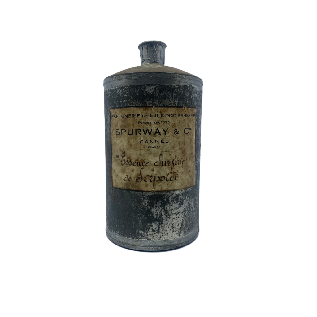 Tomillo Serpol Aceite Esencial Vintage