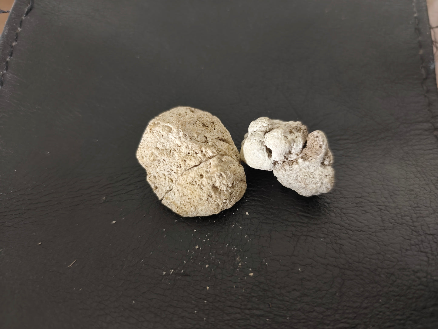 Ámbar gris Natural Puro 1 Gramo