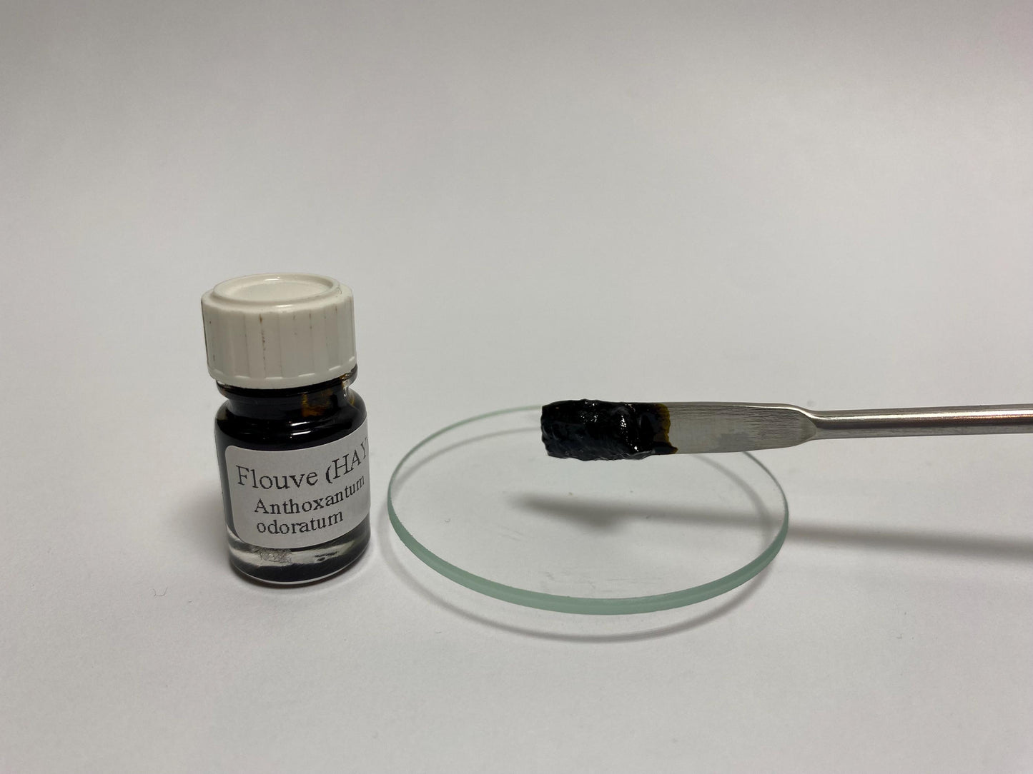 Absolute Hay – Grasse, France | The wild sweetness of the earth - Anthoxanthum odoratum