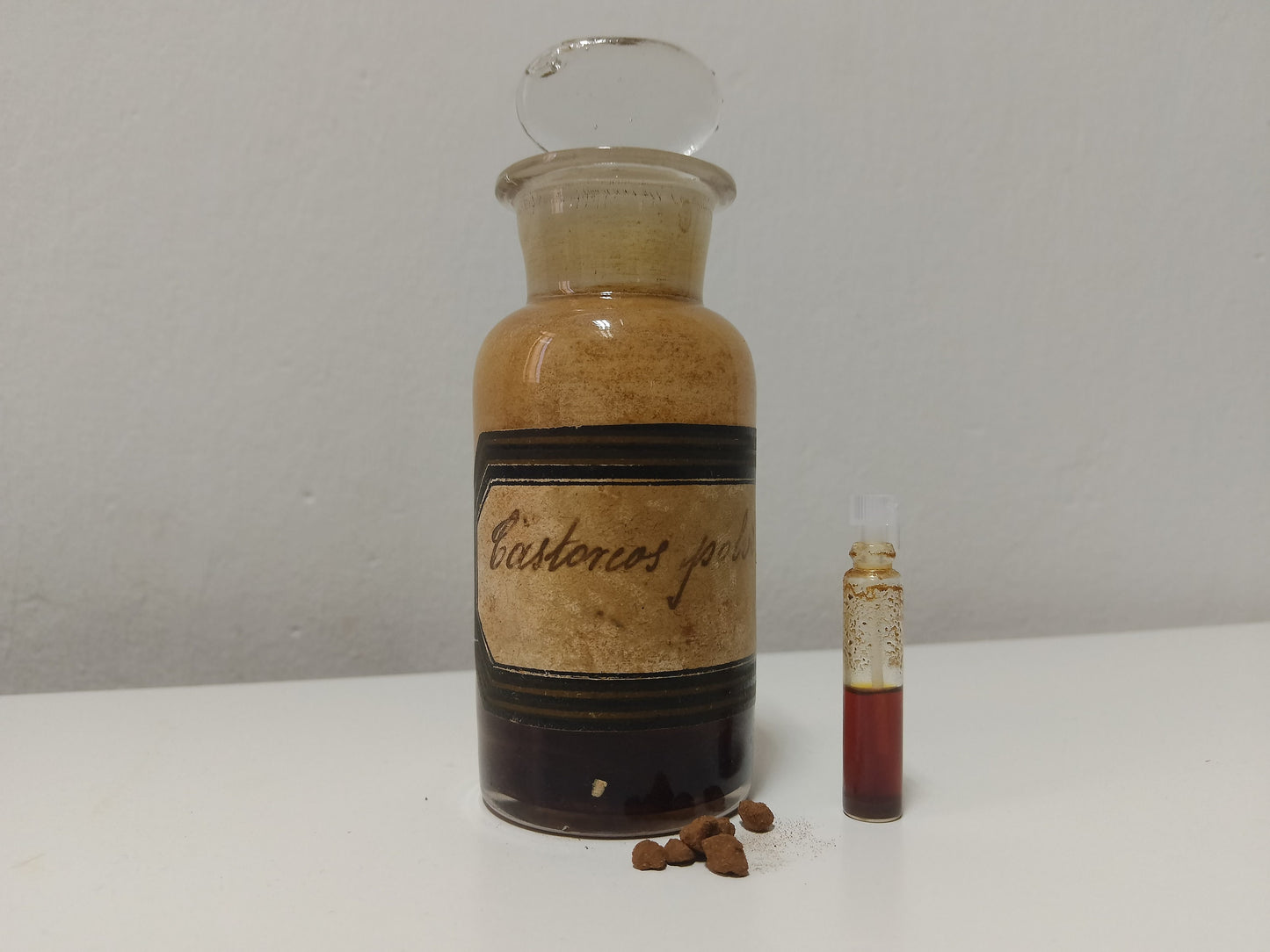 Tintura de Castoreum: El Poderoso Secreto Animal de la Perfumería