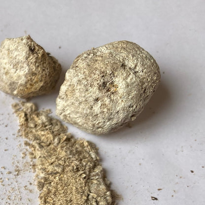 Tintura de Ámbar Gris Artesanal al 10% – Para Perfumistas que Buscan lo Verdadero