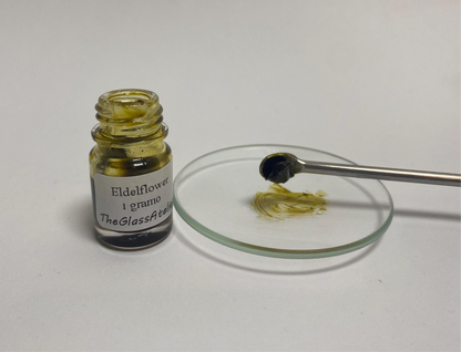 Elderflower Absolute – France | Airy sweetness, living nature