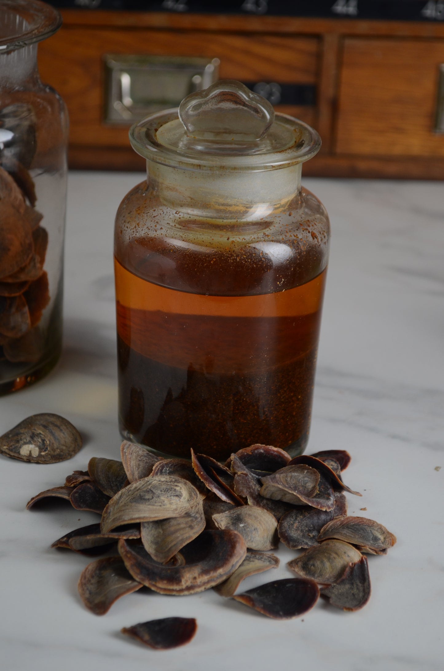 Operculum Onchya Tincture 20%