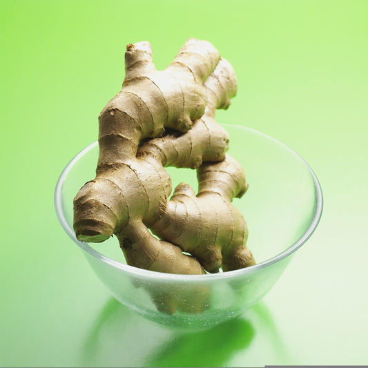 Fresh Madagascar Ginger (Zingiber officinale) Essential Oil