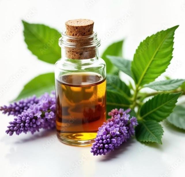 Patchouli Absolute – Indonesia | Lively Wood, Aromatic Shade