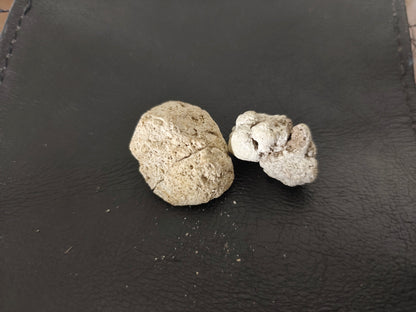 Ámbar gris Natural Puro 1 Gramo