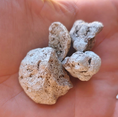 Ámbar gris Natural Puro 1 Gramo